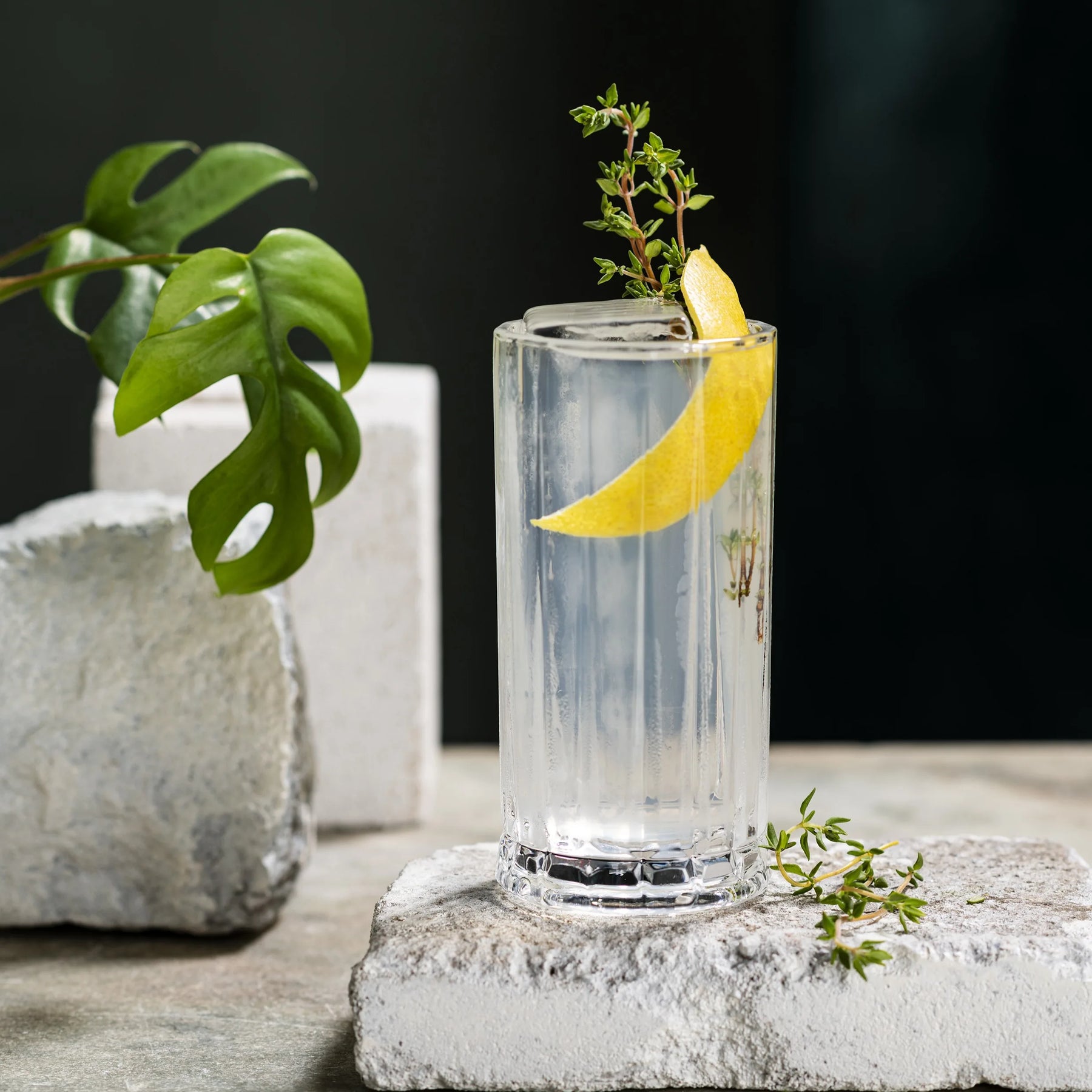 Botaniets Ginger & Yuzu alcohol-free spirit served with tonic and citrus garnish in a highball glass.