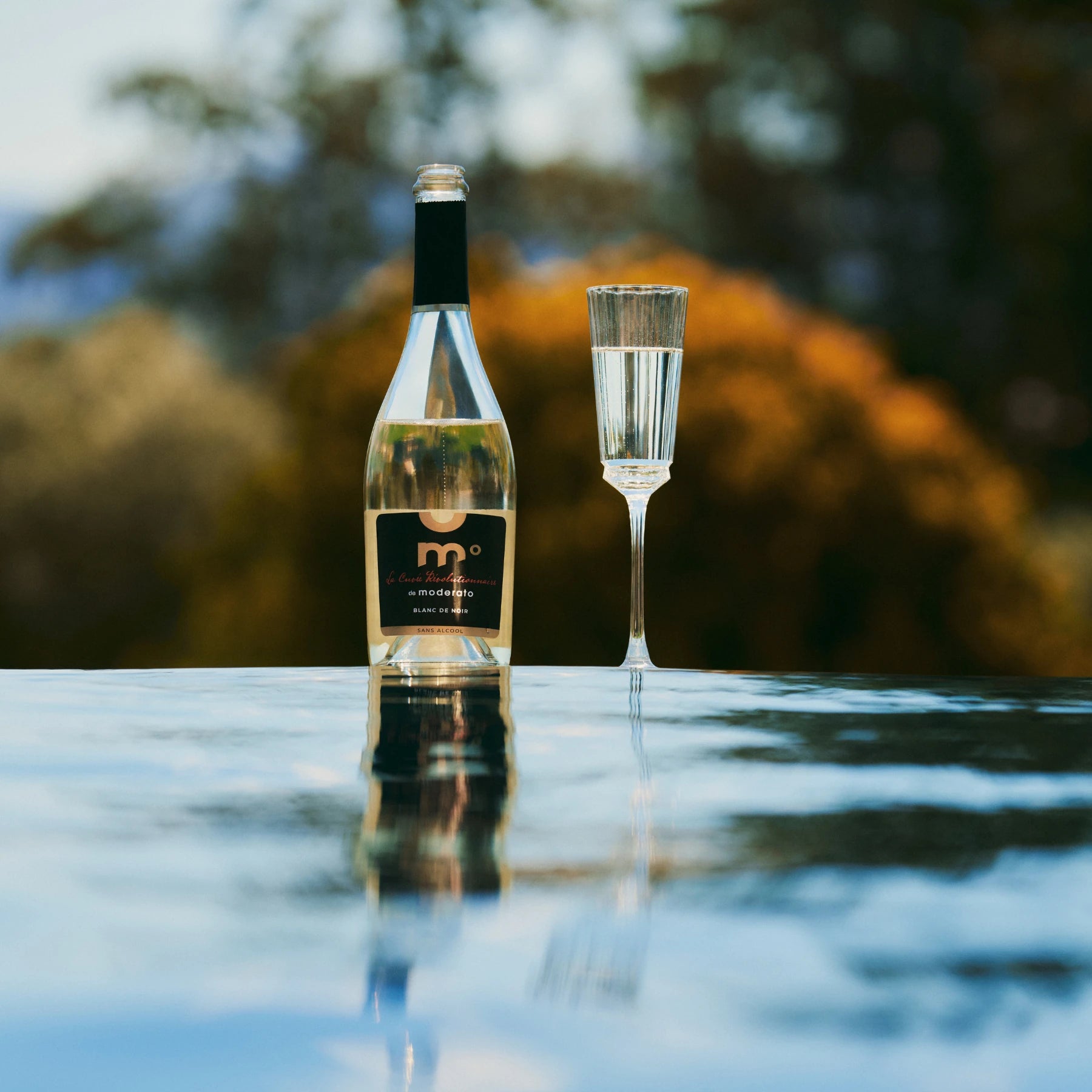 Moderato Blanc de Noir alcohol-free sparkling wine from Merlot with a glass on a reflective outdoor surface.
