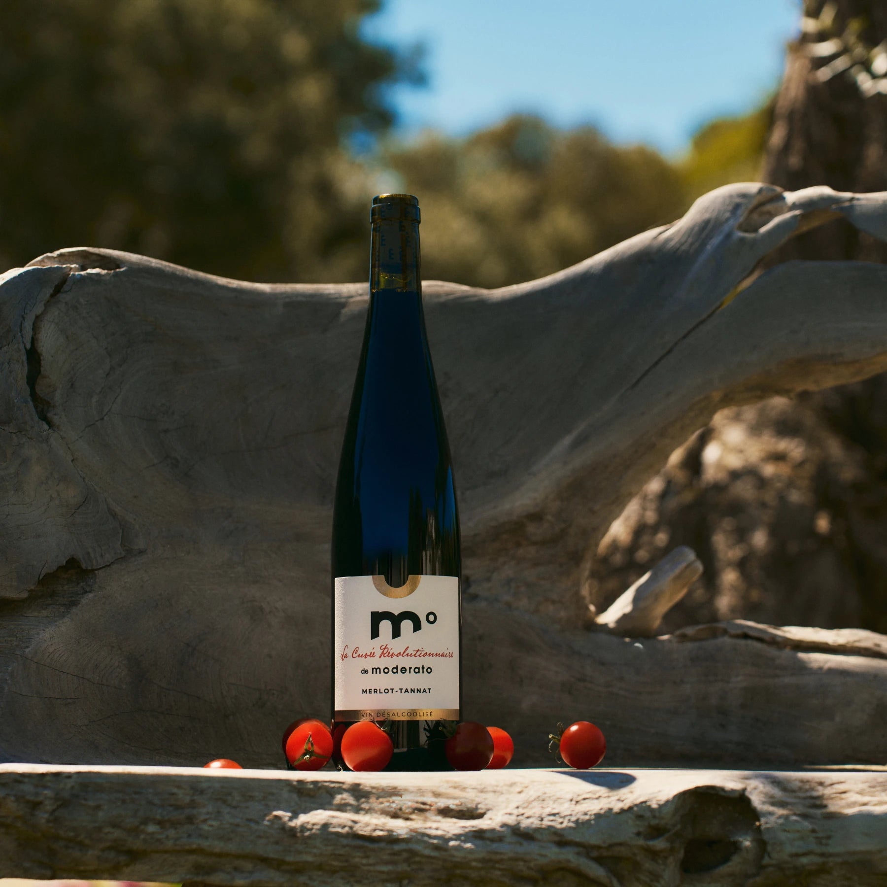 Moderato Merlot-Tannat alcohol-free red wine bottle outdoors with tomatoes, natural and rustic setting.