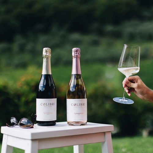 Colibri alcohol-free sparkling wines served outdoors with glass in hand.