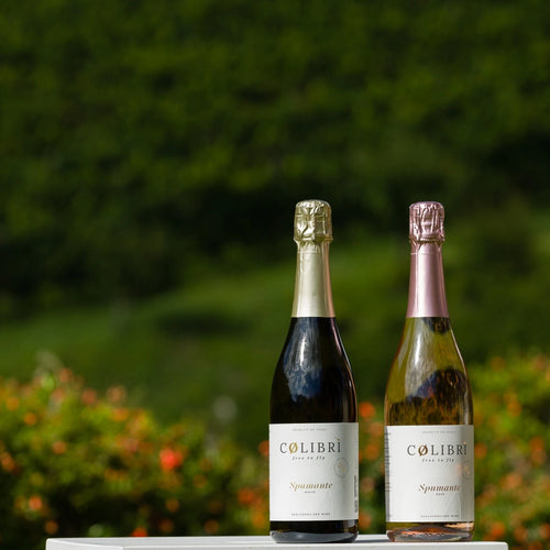 Colibrì Spumante Rosé und schwarzer Sekt, alkoholfreier Sekt, auf einem Tisch vor grünem Hintergrund.